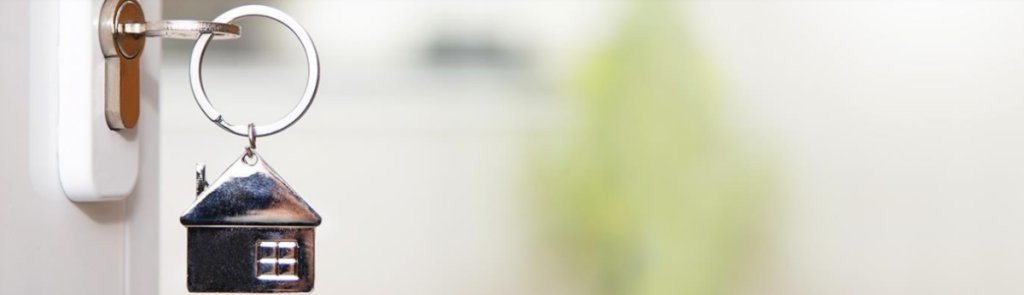 Mom-and-Pop Investors in the Housing Market