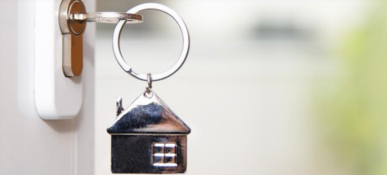 Mom-and-Pop Investors in the Housing Market